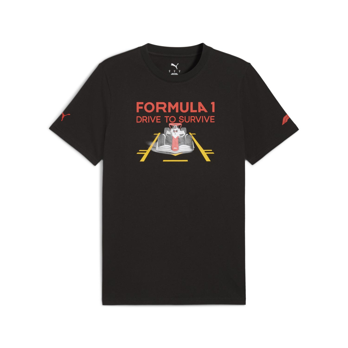 Formule 1 pánské tričko DTS Graphic black F1 Team 2025