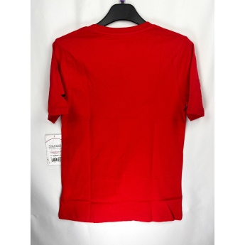 Detroit Red Wings dětské tričko Apro Wordmark Ss Ctn Tee