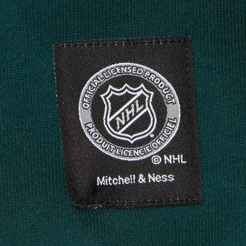 Minnesota Wild pánská mikina s kapucí Retro Fleece Current Logo