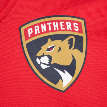 Florida Panthers pánská mikina s kapucí Retro Fleece Current Logo