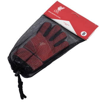 FC Liverpool dětské brankářské rukavice Fuse Goalkeeper Gloves Kids 67-73mm palm width