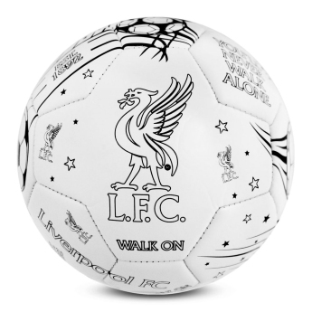 FC Liverpool fotbalový míč Colour - size 2