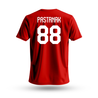 Hokejové reprezentace pánské tričko Czech republic David Pastrňák #88 National Emblem 2025 red