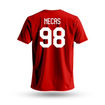 Hokejové reprezentace dětské tričko Czech Republic Martin Nečas #98 National Emblem 2025 red