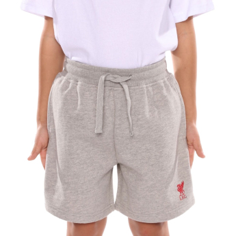 FC Liverpool dětské kraťasy Sweat grey
