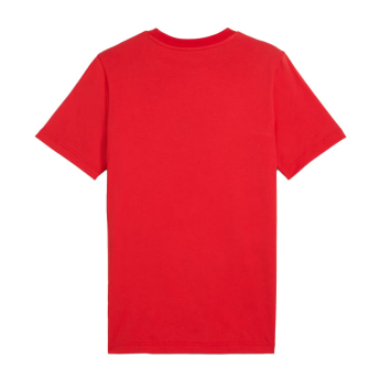 AC Milan pánské tričko ftblNRGY red