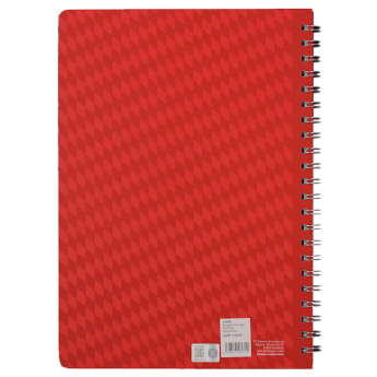 Bayern Mnichov zápisník A4 Ring