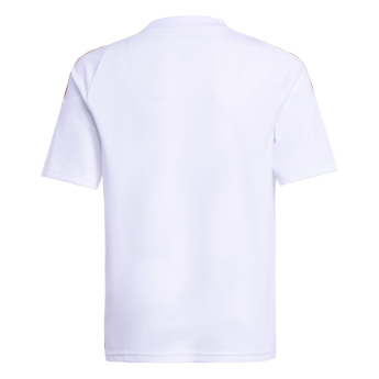 Lionel Messi dětský fotbalový dres MESSI Stripe white