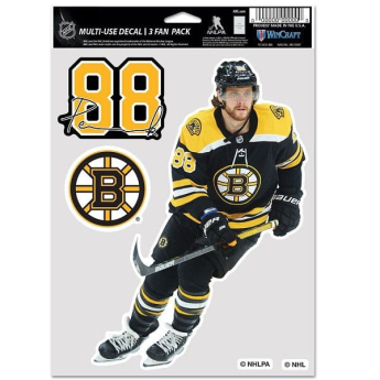 Boston Bruins samolepky David Pastrnak #88 Color Decal