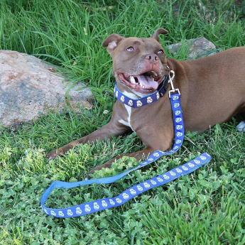 Real Madrid vodítko Medium