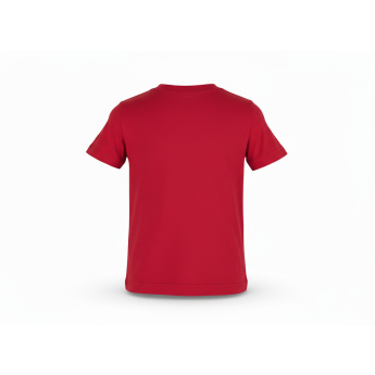 Calgary Flames dětské tričko NHL Clean Cut red