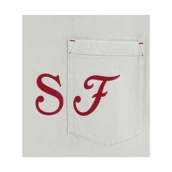 Ferrari pánské tričko Graphic grey F1 Team 2025