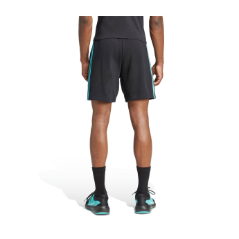 Mercedes AMG Petronas pánské trenky DNA Logo black F1 Team 2025