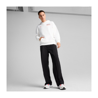 Formule 1 pánská mikina s kapucí DTS Relaxed white F1 Team 2025