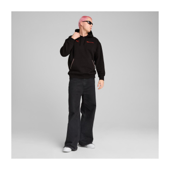 Formule 1 pánská mikina s kapucí Essential Relaxed Logo black F1 Team 2025