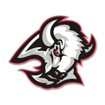 Buffalo Sabres odznak Enamel Pin Jewelry Card