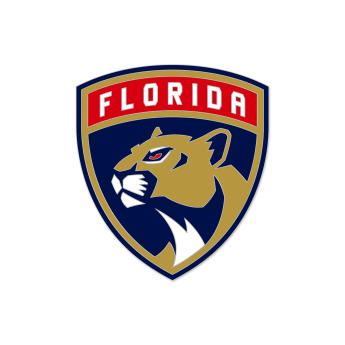 Florida Panthers odznak Enamel Pin Jewelry Card