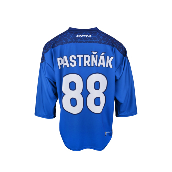 Hokejové reprezentace hokejový dres Czech republic David Pastrňák 2025/2026 CCM Fandres replica blue