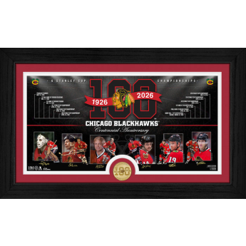Chicago Blackhawks sběratelská plaketa 100th bronze coin Timeline photo mint